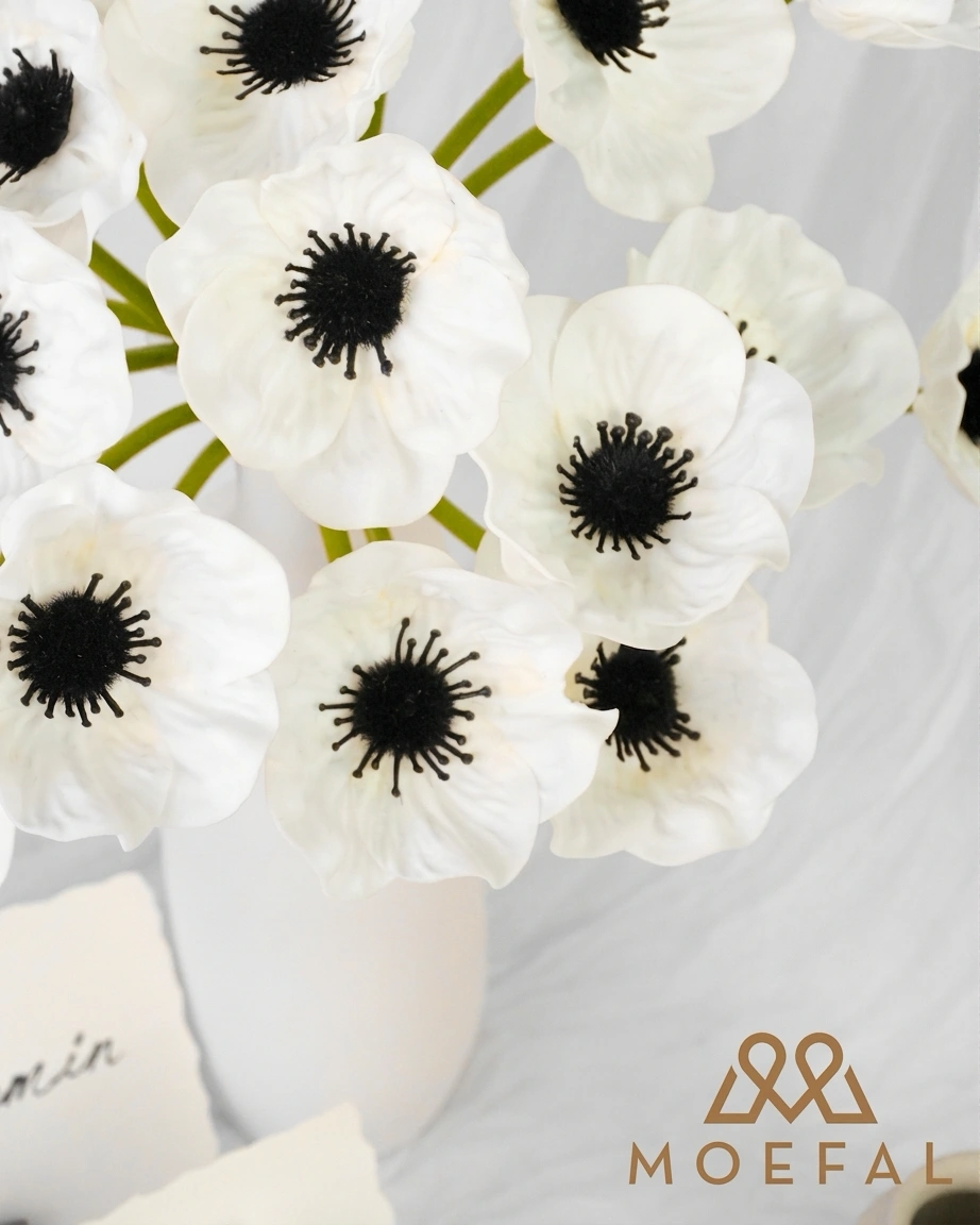 A close-up overhead view of the white anemone bouquet with dark black centers.