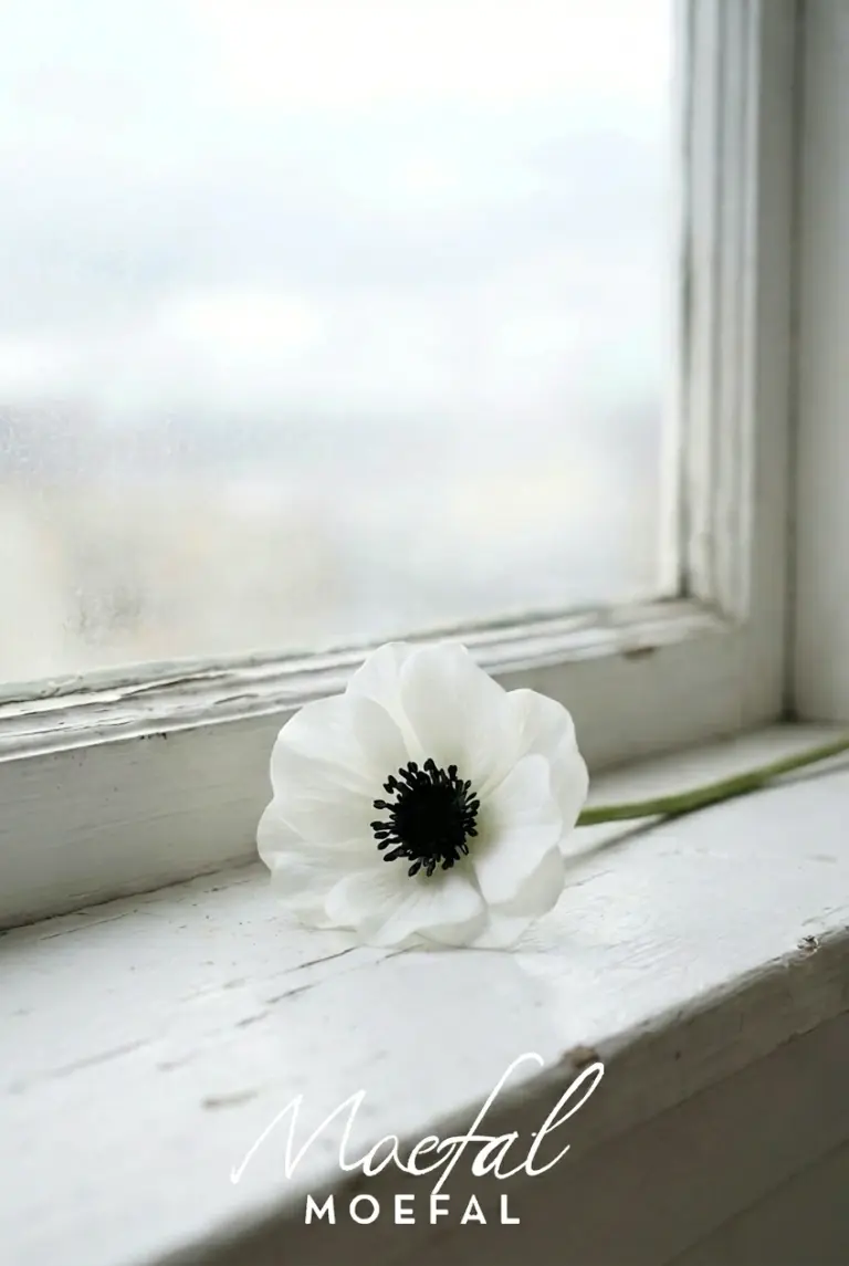 A white artificial anemone decor flower resting peacefully on a rustic, sunlit windowsill.