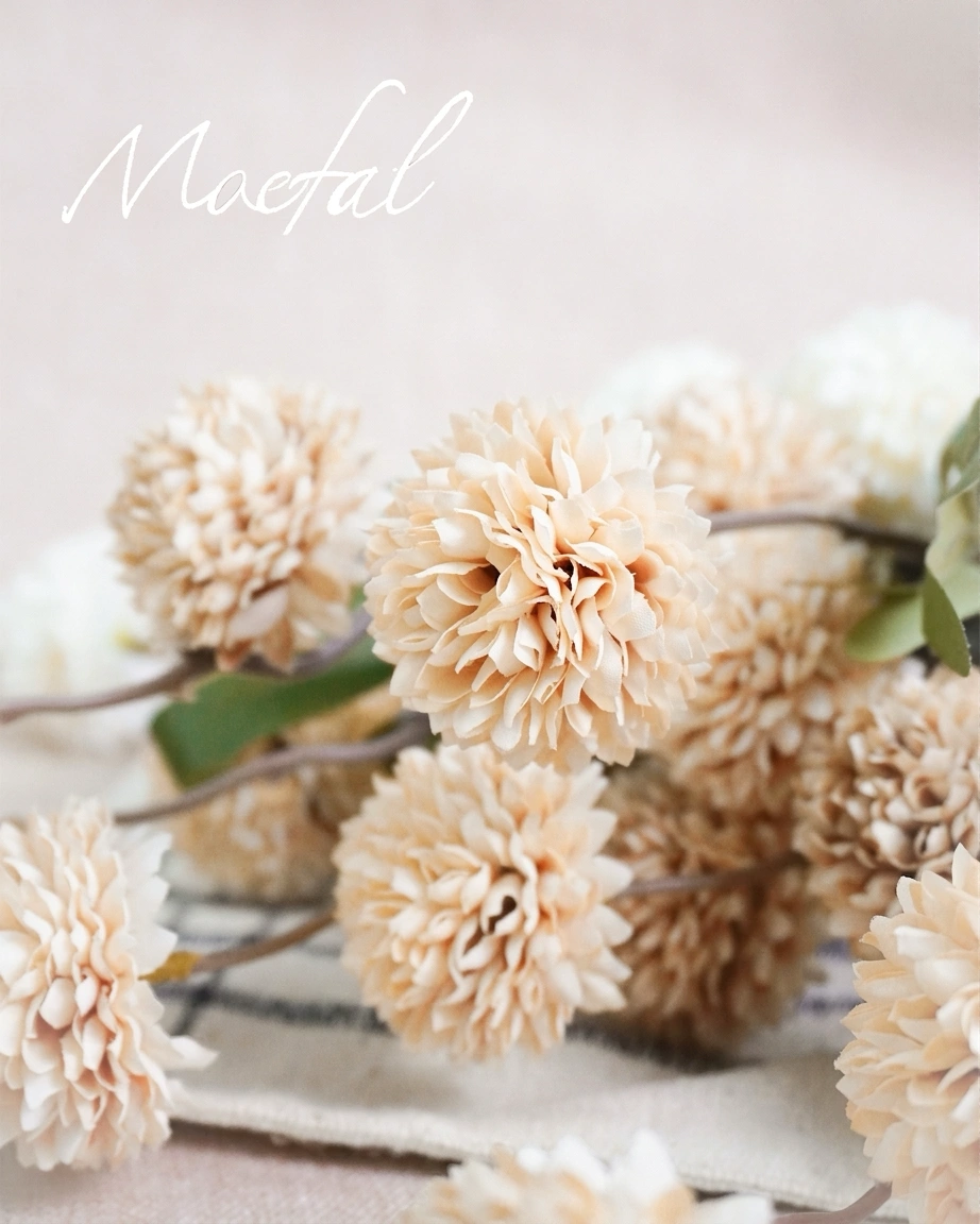A close-up view showing the delicate petal texture of beige pompon mums.