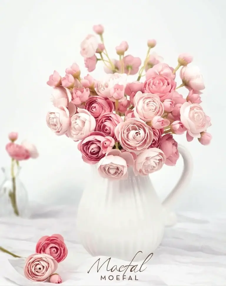 A lush bouquet of dusty rose ranunculus flowers arranged in a white ceramic pitcher.