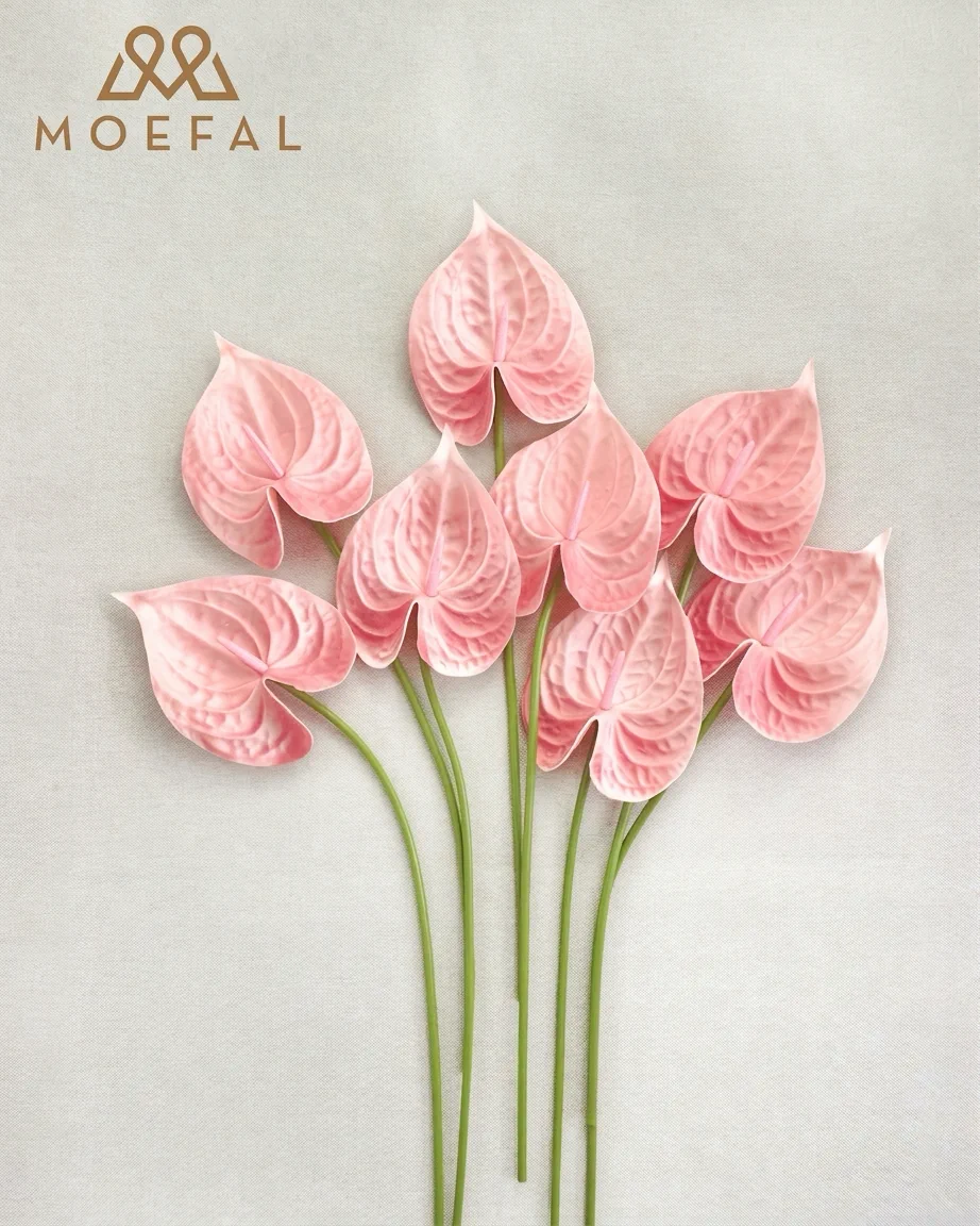 A flat lay of multiple modern boho anthurium stems arranged on a textured fabric.