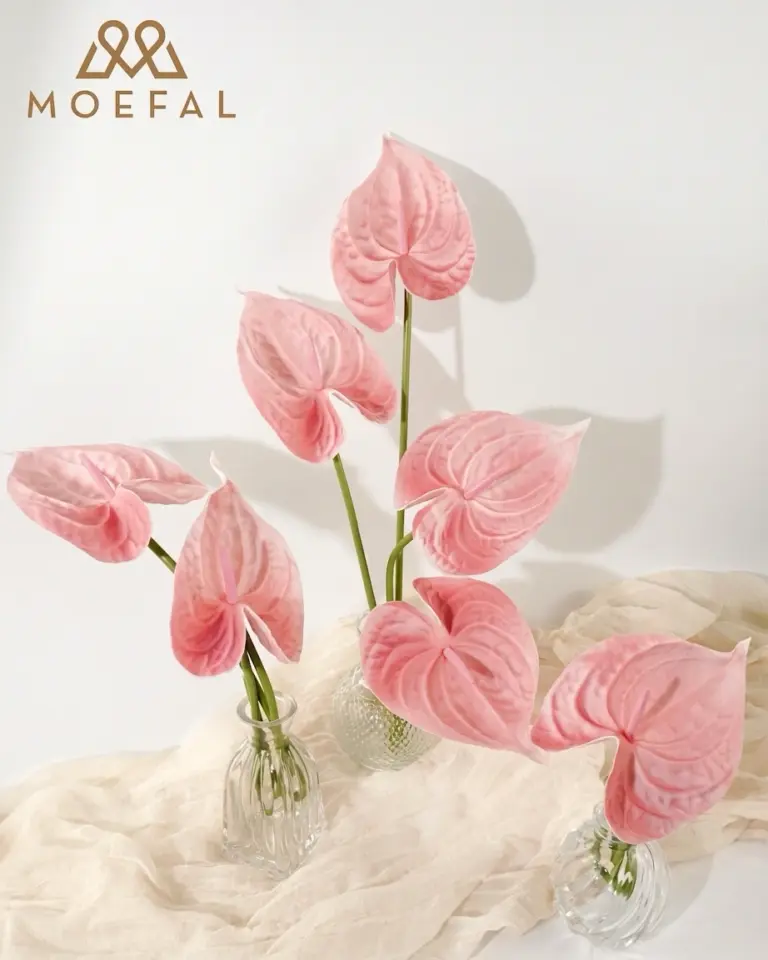Shabby blush modern boho anthurium stems styled in several small glass vases.