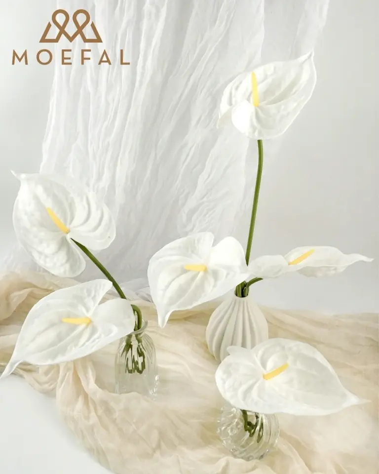 Several white anthuriums arranged in three minimalist vases on a draped fabric.