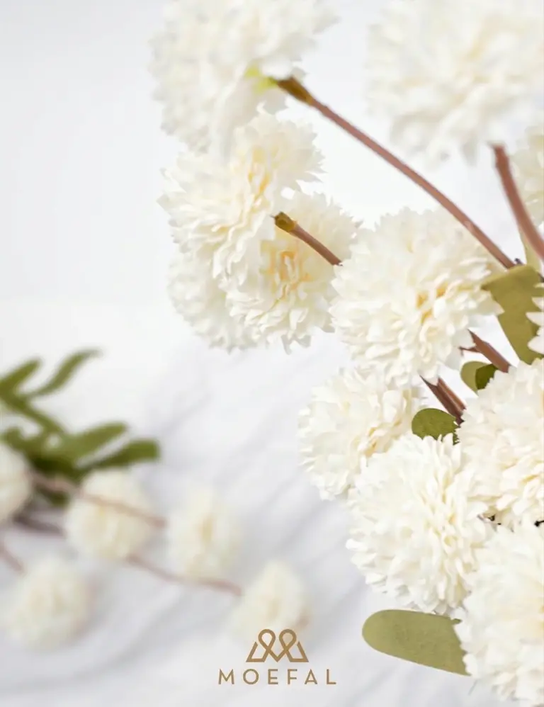 A close-up view of fluffy white pompon mums revealing their soft, layered petals.